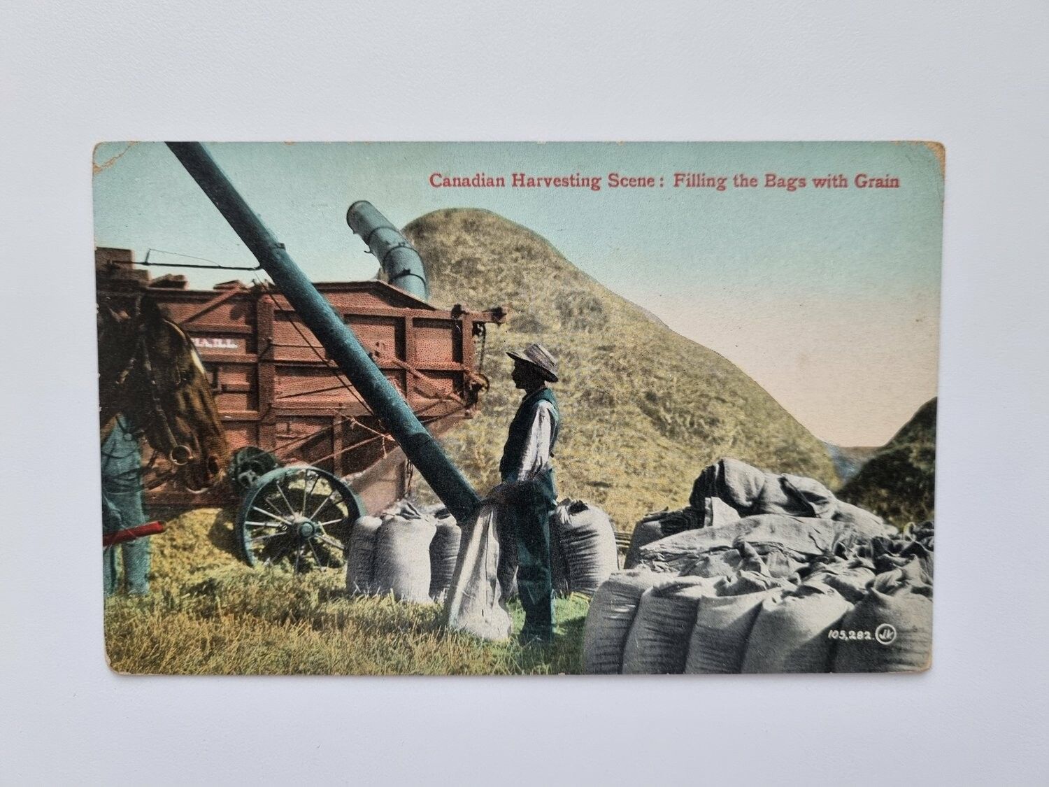 Vykort Canadian Harvesting Scene: Filling the Bags with Grain