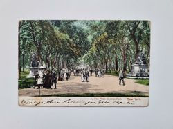 Vykort Central Park, New York, 1906