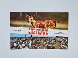Vykort CHEYENNE