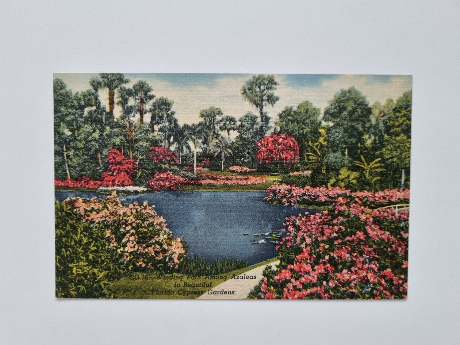 Vykort Cypress Gardens