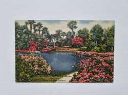 Vykort Cypress Gardens