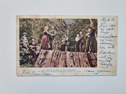 Vykort Dancing on Stump of Tree, Washington, 1904