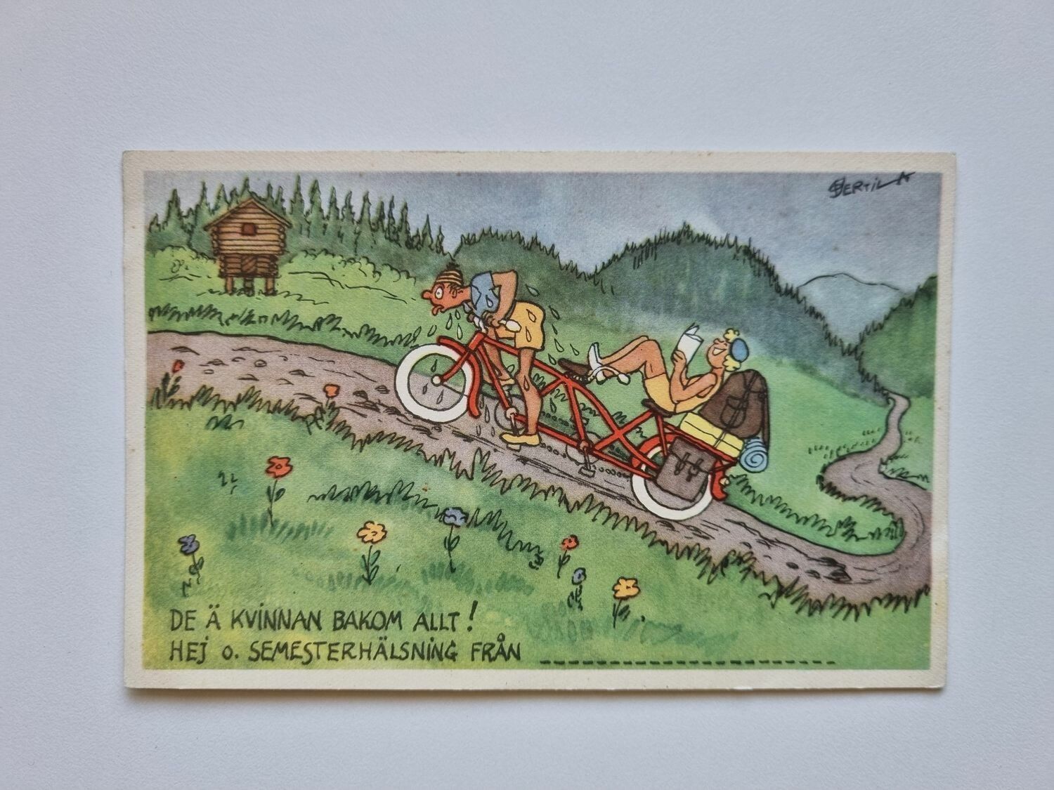 Vykort DE Ä KVINNAN BAKOM ALLT! HEJ O. SEMESTERHÄLSNING FRÅN