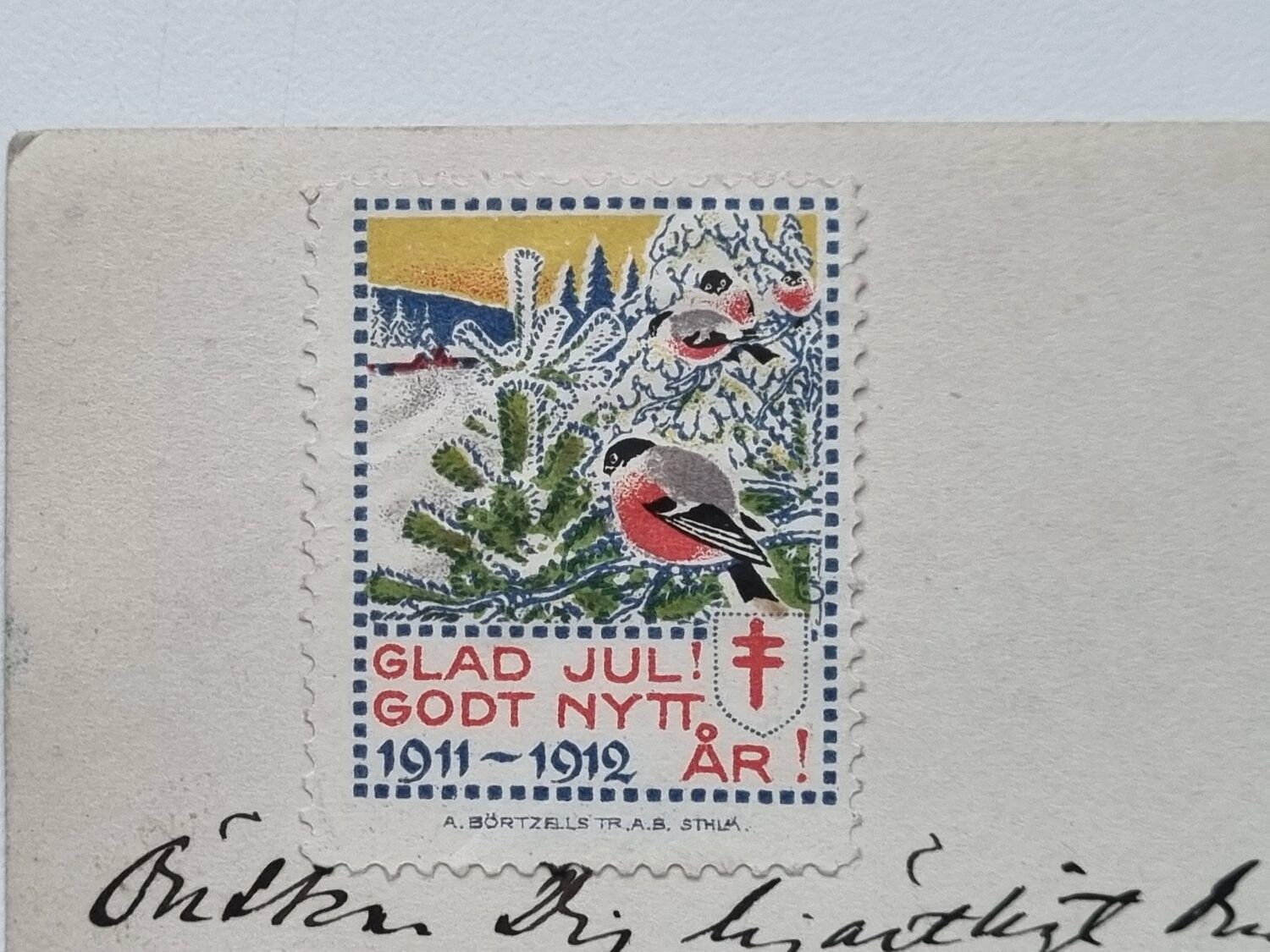 Vykort Dombron Uppsala, 1911