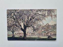 Vykort Dürnstein a. d. Donau, Österrike, 1920