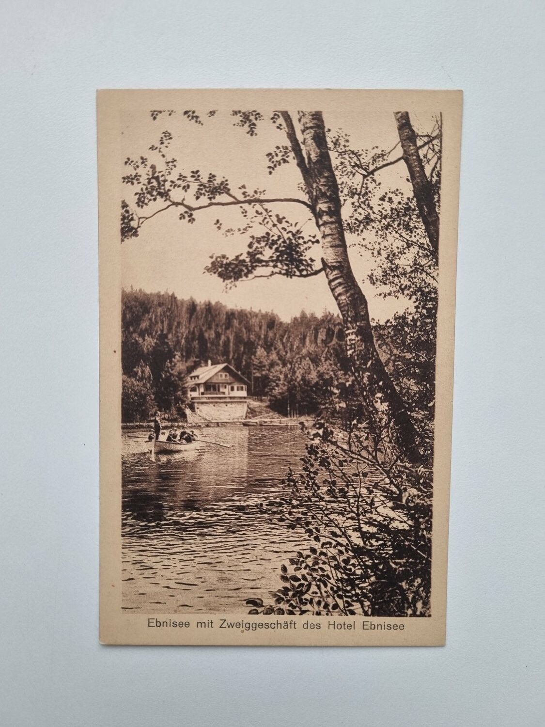 Vykort Ebnisee mit Zweiggeschäft des Hotel Ebnisee