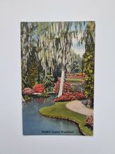 Vykort Florida's Tropical Wonderland