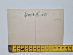 Vykort Free Act and Figure Eight, Palisades Amusement Park, N. J.