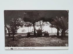 Vykort Golfo della Spezia