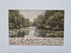 Vykort Gravenhage, 1905