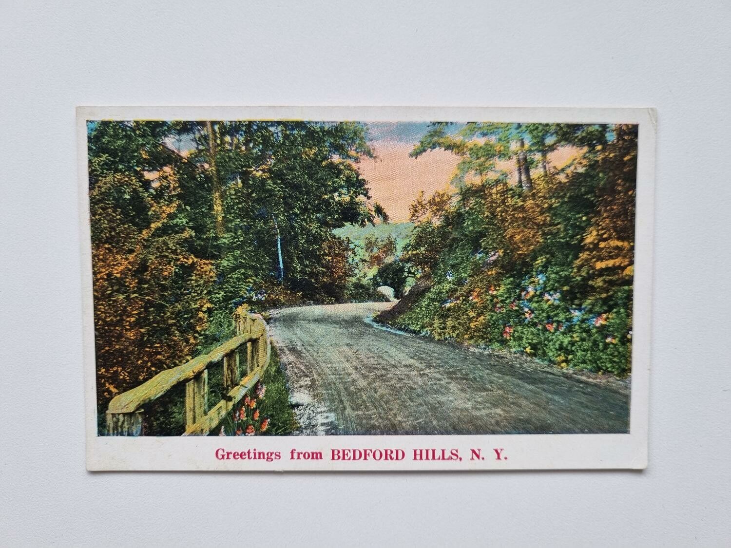 Vykort Greetings from BEDFORD HILLS, N. Y.