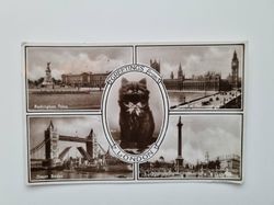 Vykort GREETINGS from LONDON 1954