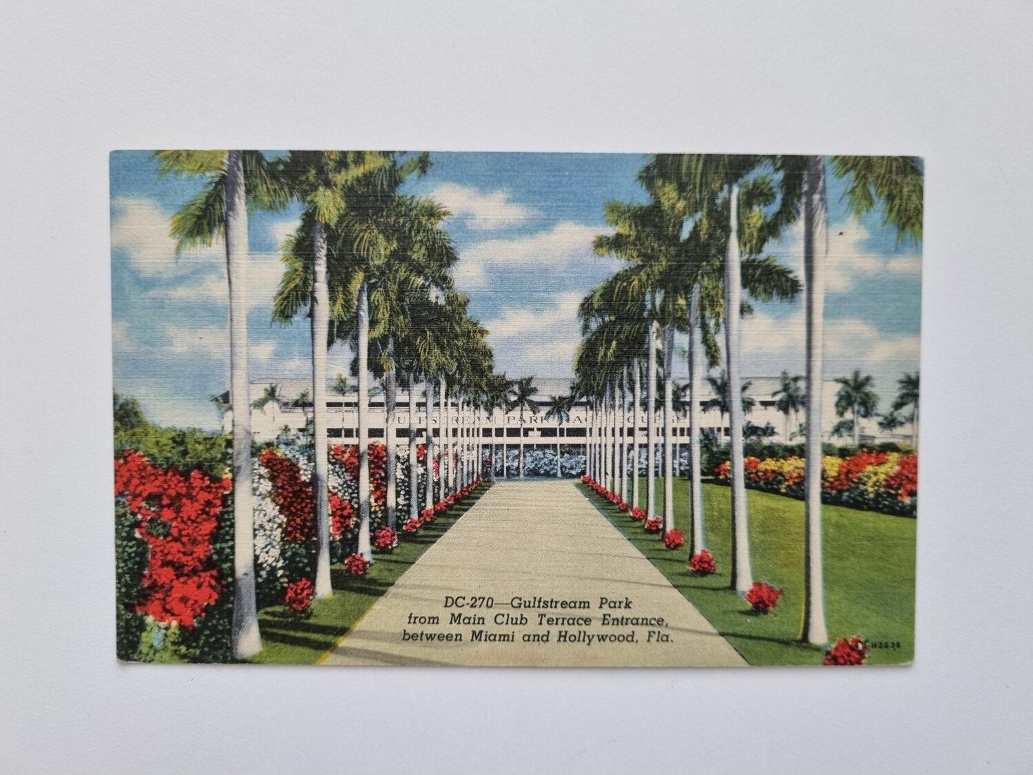 Vykort Gulfstream Park