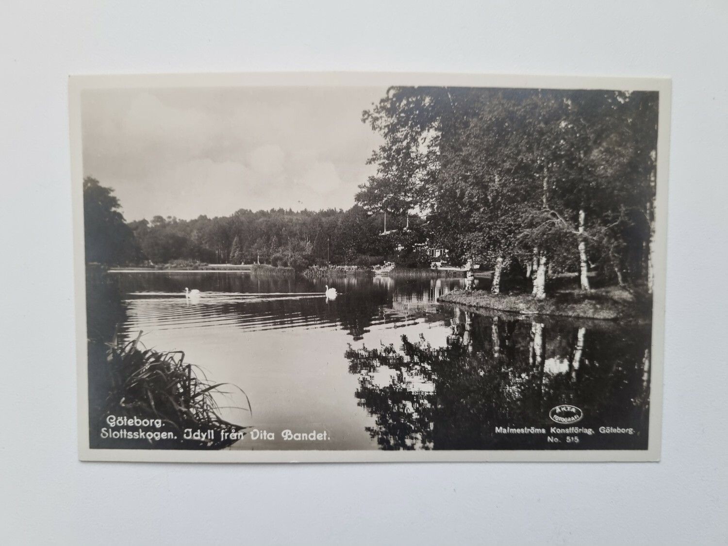 Vykort Göteborg Slottskogen