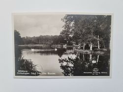 Vykort Göteborg Slottskogen