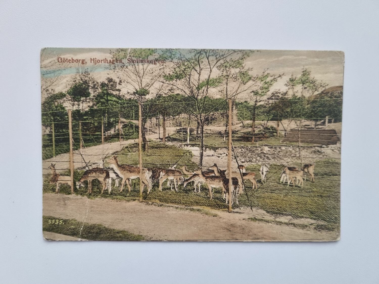 Vykort Göteborg, Hjorthagen Slottskogen 1915