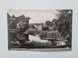 Vykort GÖTEBORG, Näckrosdammen