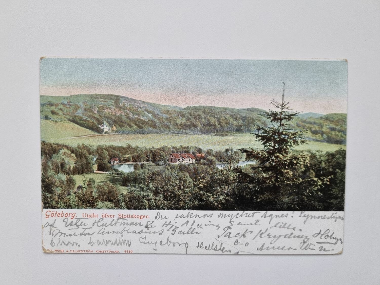 Vykort Göteborg. Utsikt öfver Slottsskogen 1903