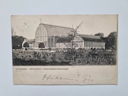 Vykort GÖTEBORG. VÄXTHUSET I TRÄDGÅRDSFÖRENINGEN 1905