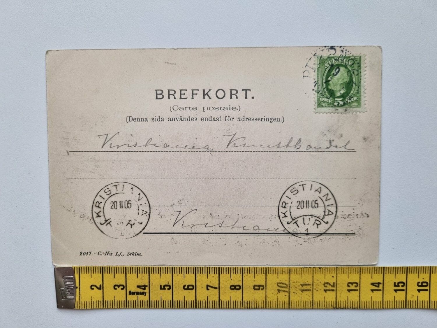 Vykort GÖTEBORG. VÄXTHUSET I TRÄDGÅRDSFÖRENINGEN 1905