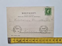 Vykort GÖTEBORG. VÄXTHUSET I TRÄDGÅRDSFÖRENINGEN 1905