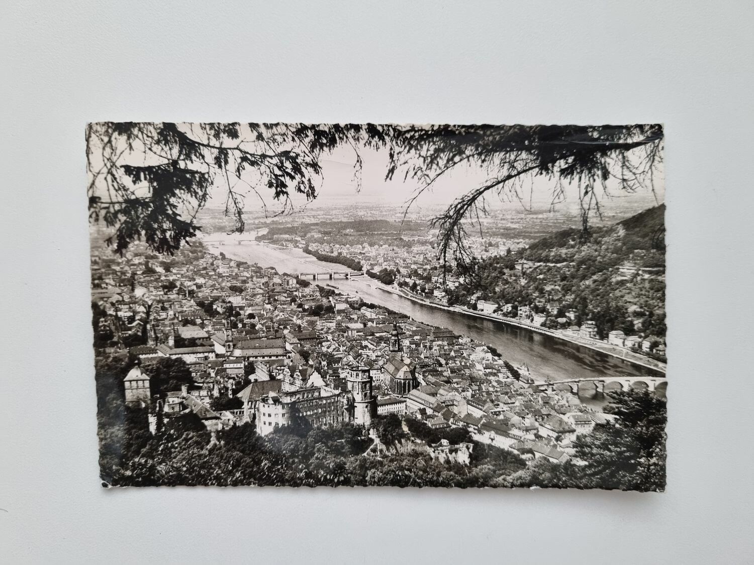 Vykort Heidelberg - Blick vom Rindenhauschen