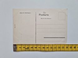 Vykort Hildesheim Tausendjähriger Rosenstock
