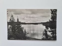Vykort Hotingsjön, 1939