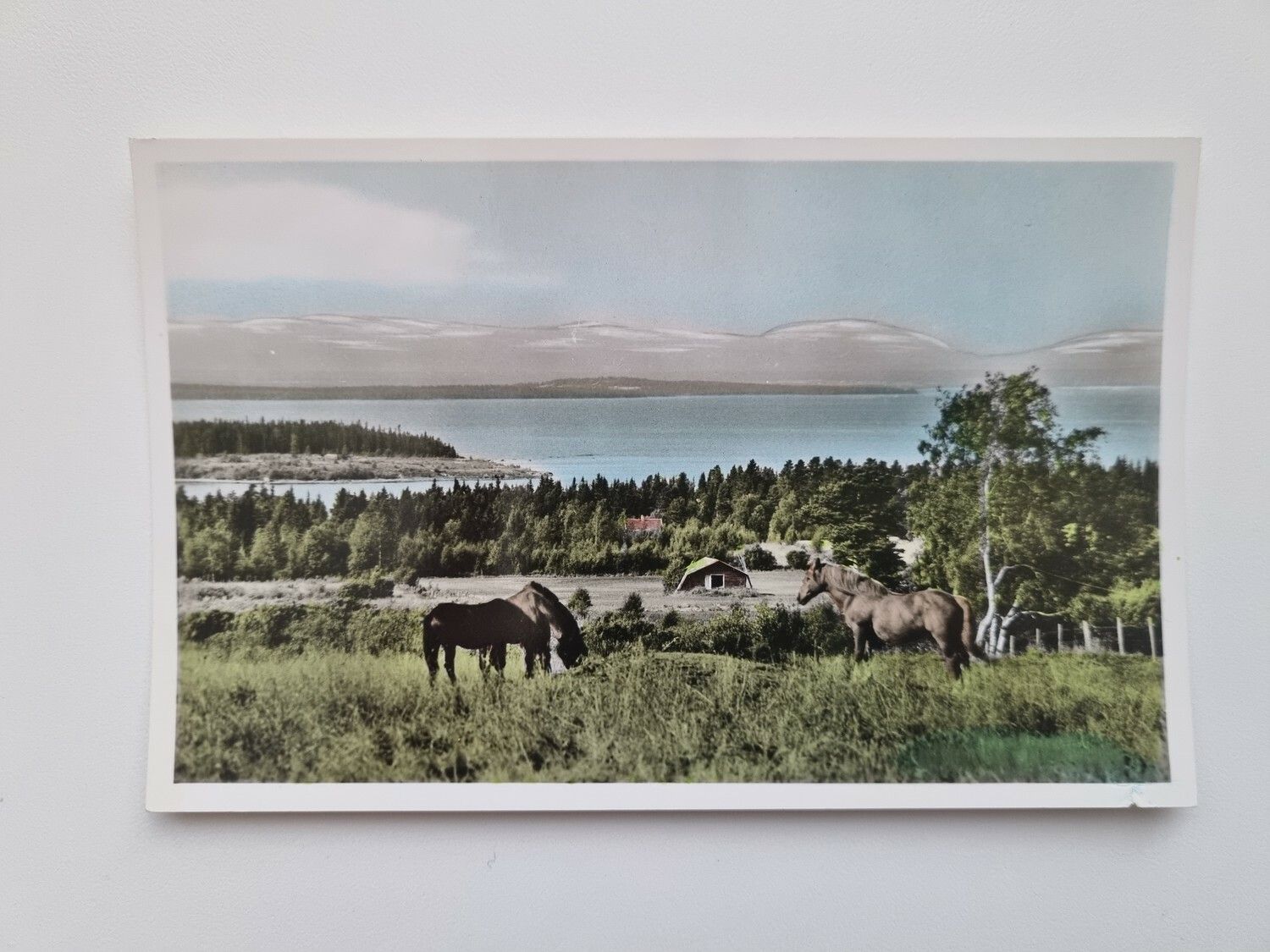 Vykort Oviksfjällen från Frösön