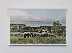Vykort Oviksfjällen från Frösön