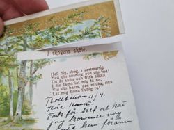 Vykort I skogens sköte 1908