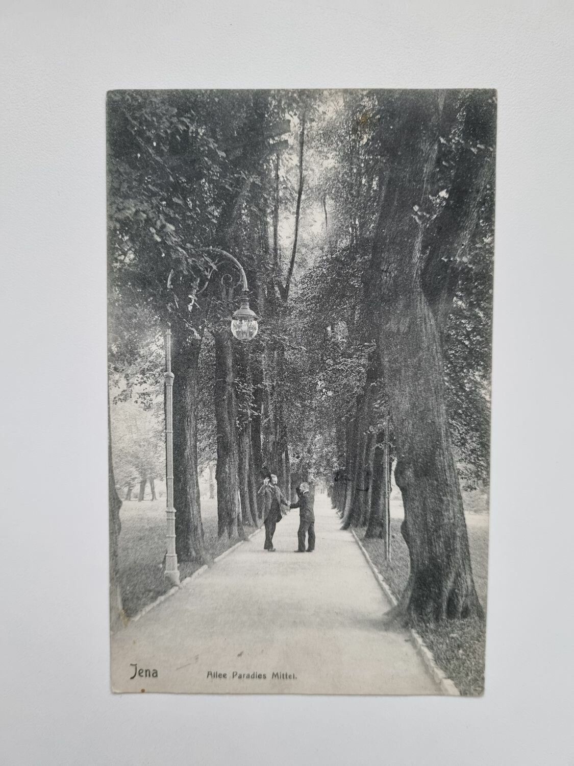 Vykort Jena Allee Paradies Mitisi, 1911