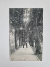 Vykort Jena Allee Paradies Mitisi, 1911