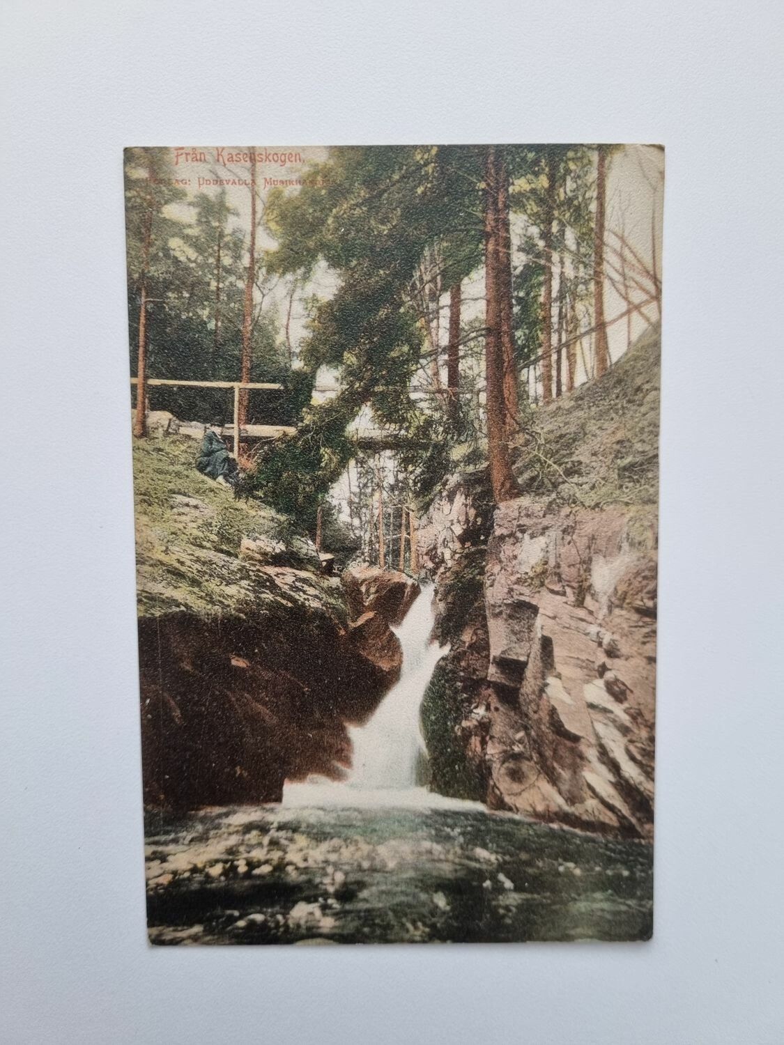 Vykort Kasenskogen Uddevalla, 1912