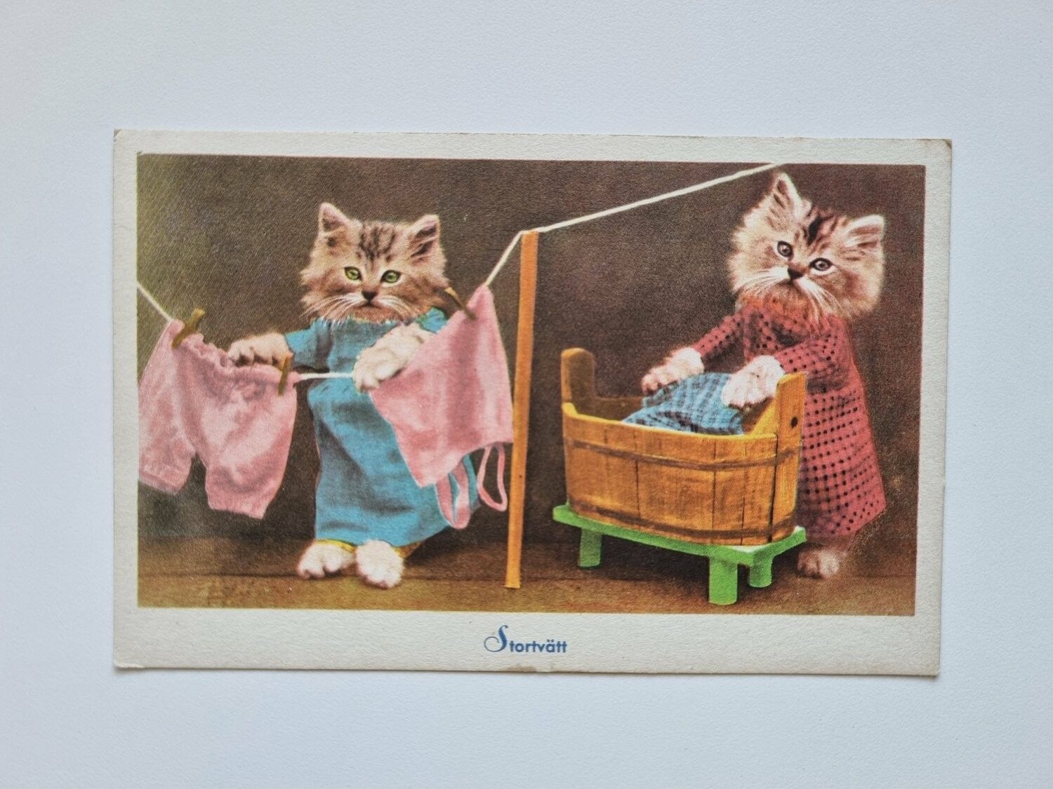 Vykort Katter, Stortvätt