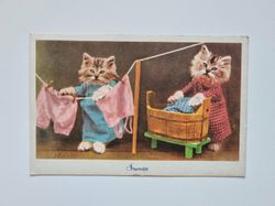 Vykort Katter, Stortvätt