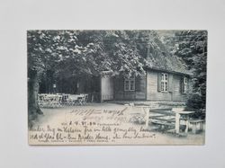 Vykort Kiel Forstbaumschule, 1904