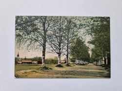 Vykort Leksand, Kyrkoallén, 1908
