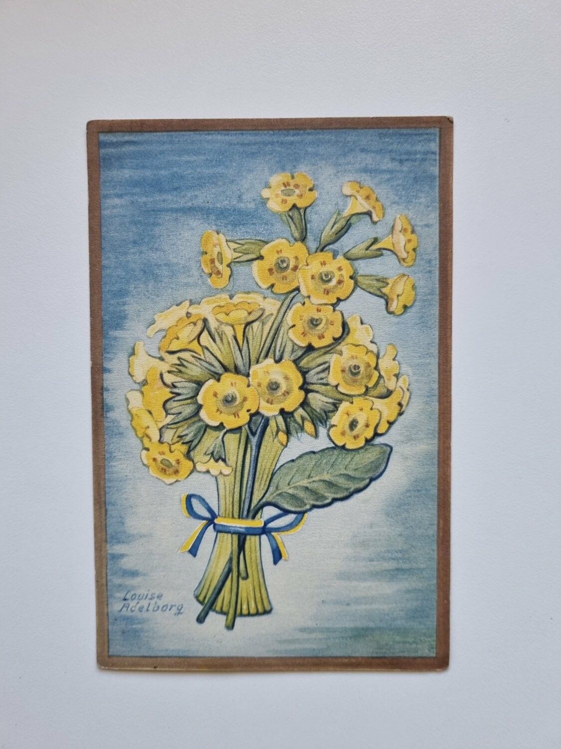 Vykort Louise Adelborg, Närkes Gullviva