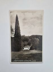 Vykort Luftkurort Auerbach a.d. Bergstrasse