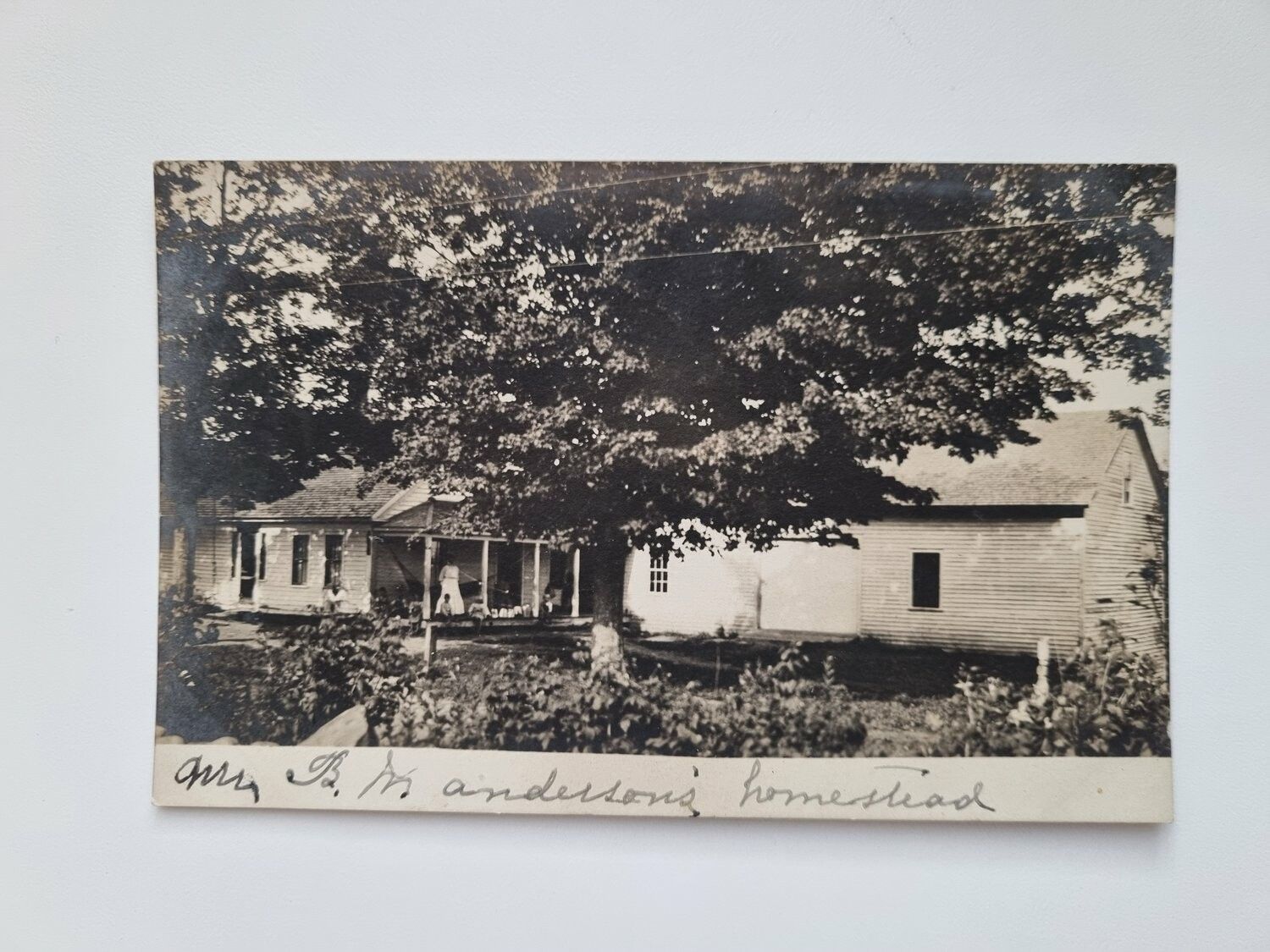 Vykort med hus och träd