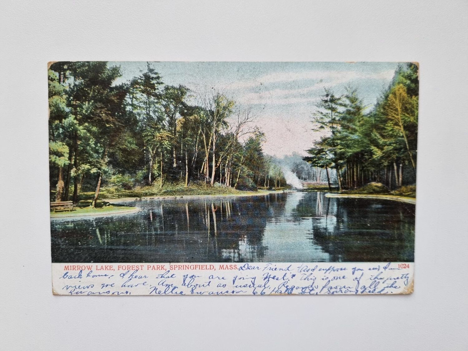 Vykort MIRROW LAKE, FOREST PARK, SPRINGFIELD, MASS - 1906