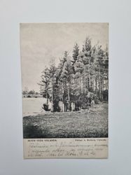Vykort MOTIV FRÅN VISLANDA, 1905