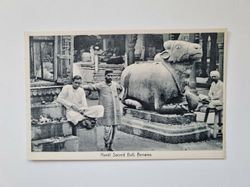 Vykort Nandi Sacred Bull, Benares.