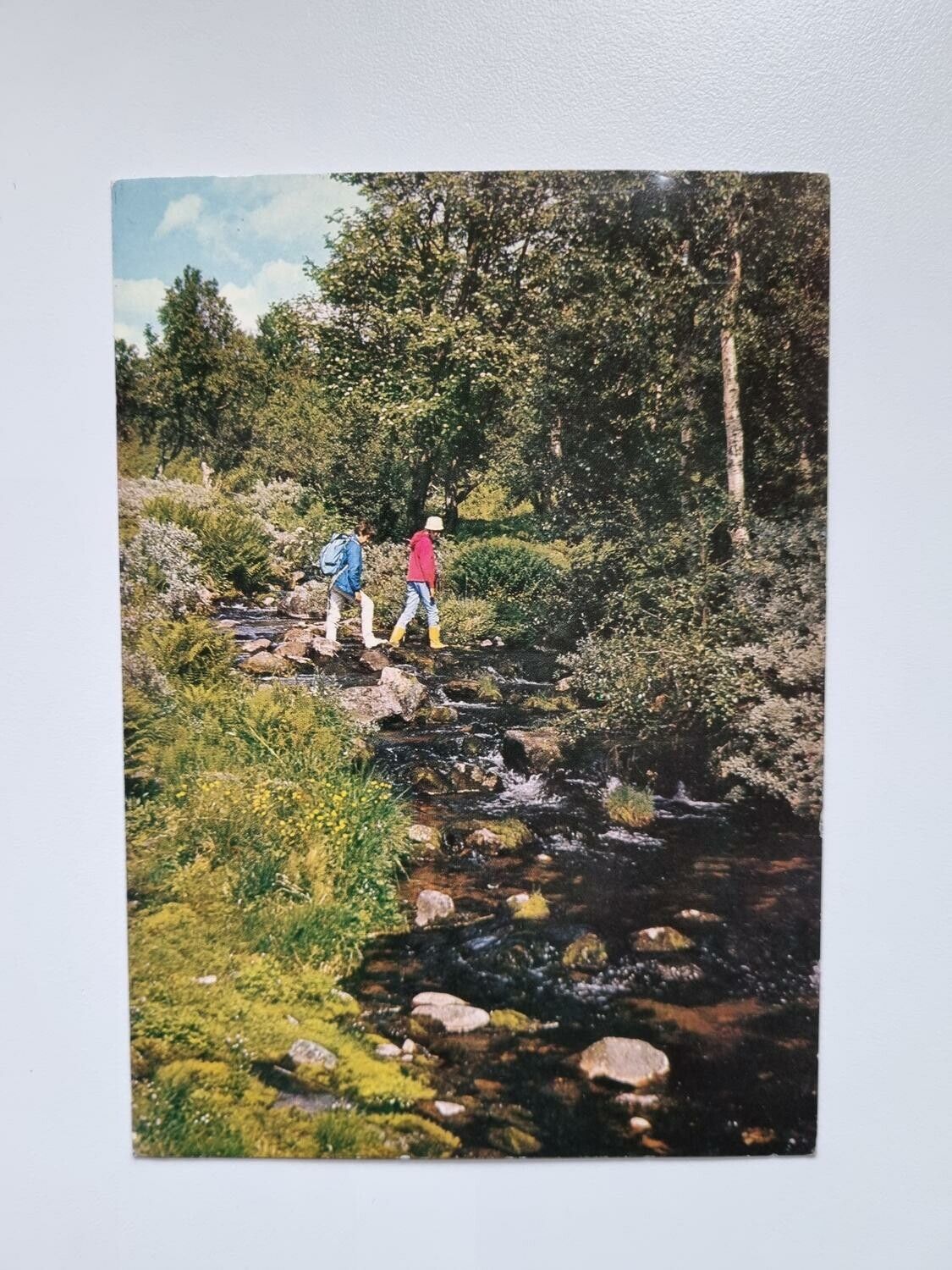Vykort Njut av sommaren
