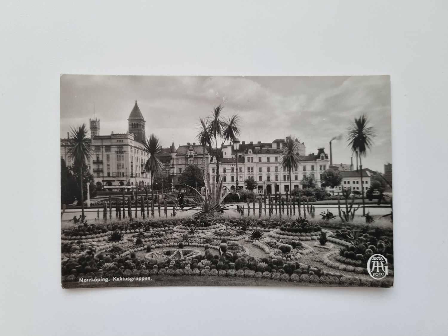 Vykort Norrköping. Kaktusgruppen, 1938