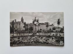 Vykort Norrköping. Kaktusgruppen, 1938