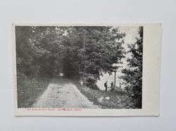 Vykort ON IRON CLIFFS ROAD, ISHPEMING, MICH.