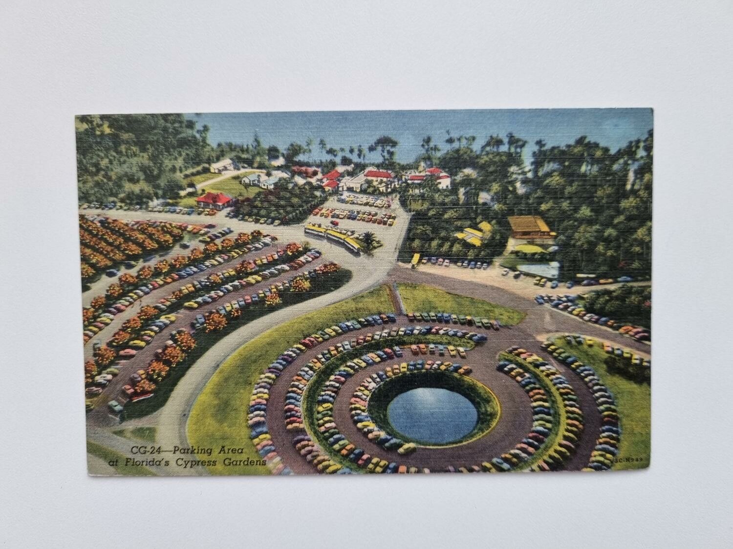 Vykort Parking Area at Florida's Cypress Gardens