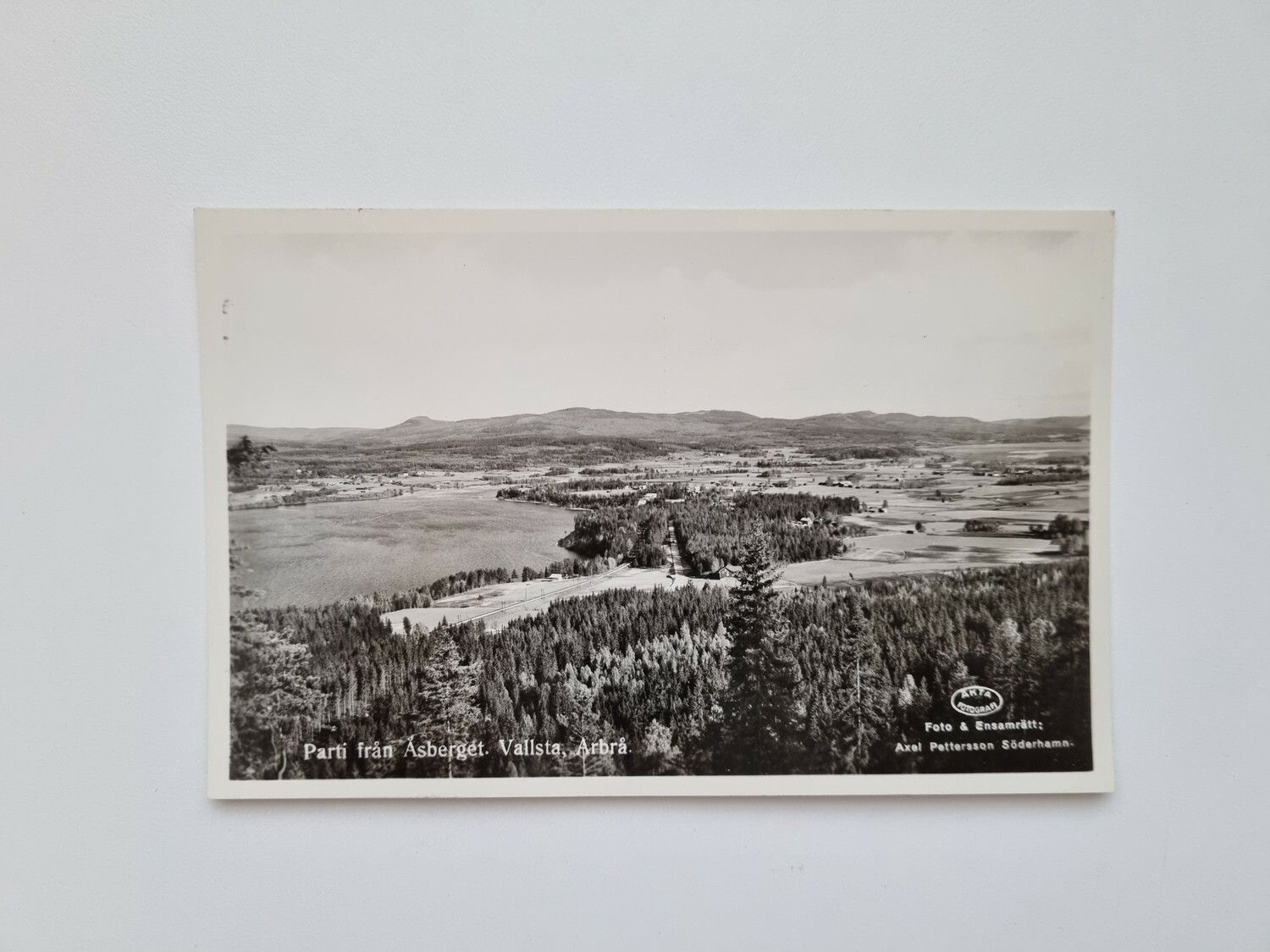 Vykort Parti från Åsberget. Vallsta, Arbrå